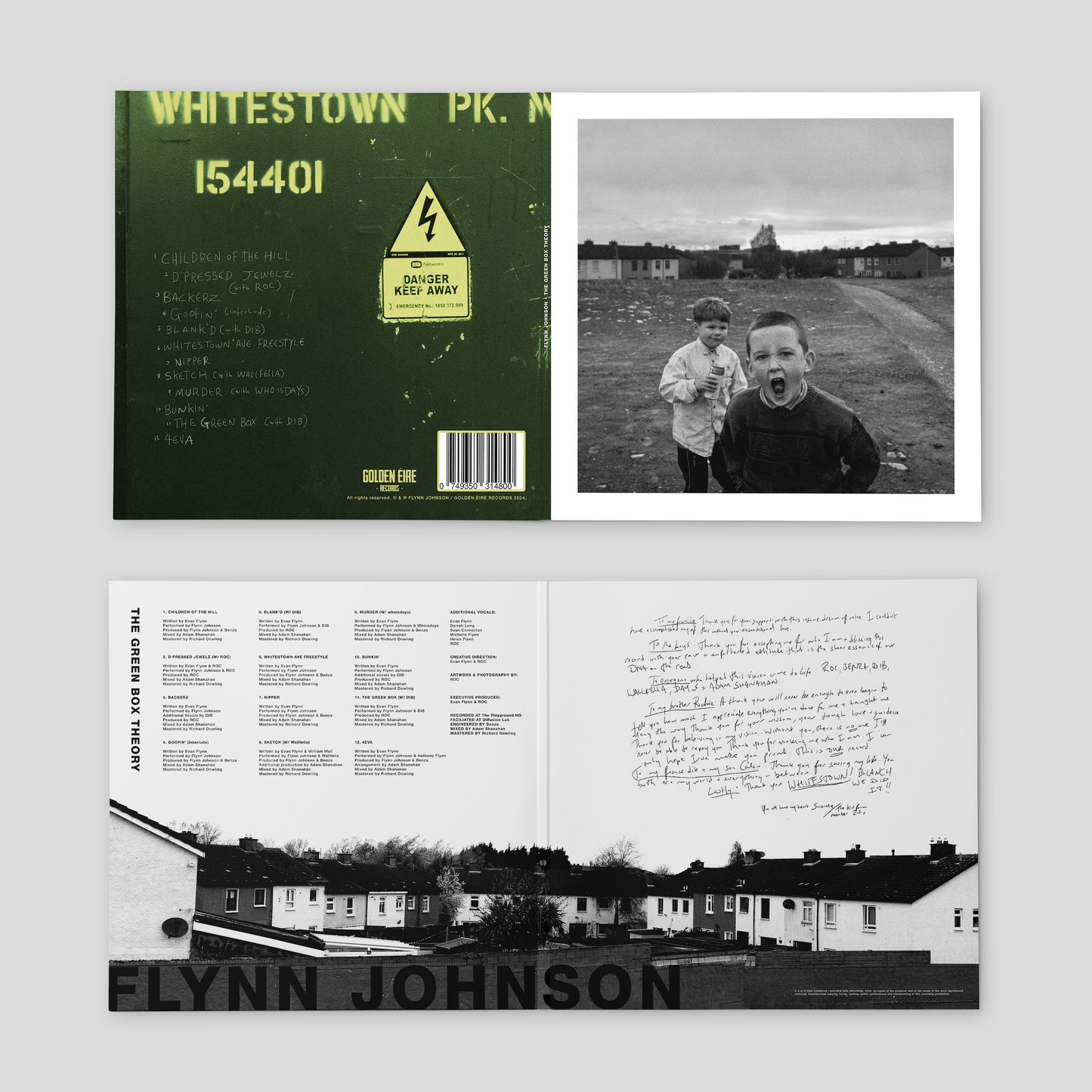 THE GREEN BOX THEORY Vinyl