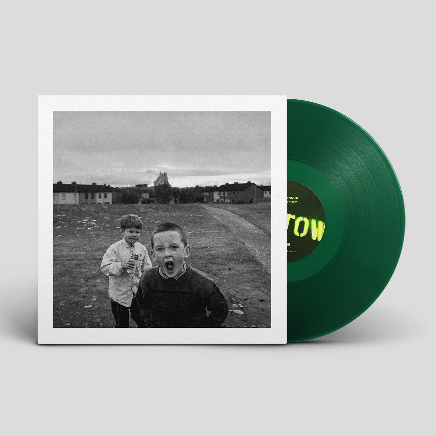 THE GREEN BOX THEORY Vinyl