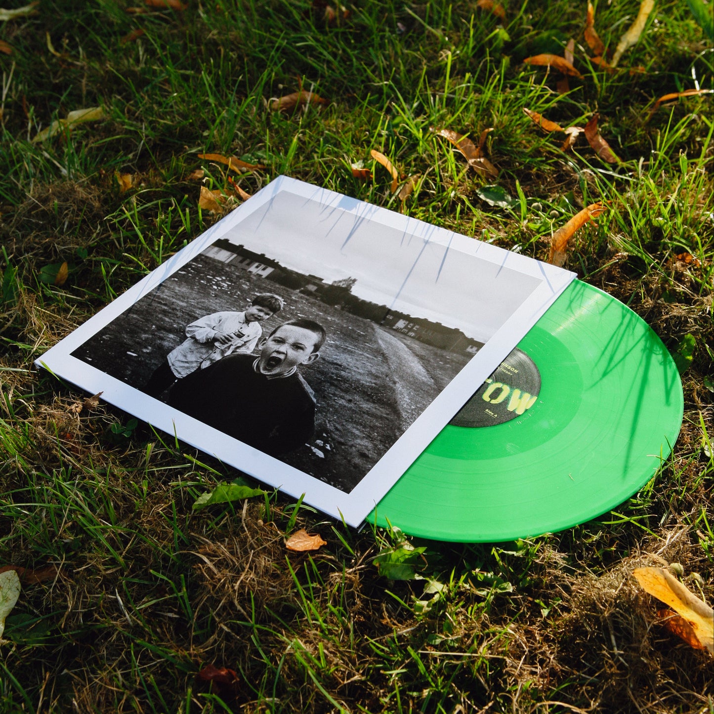 THE GREEN BOX THEORY Vinyl