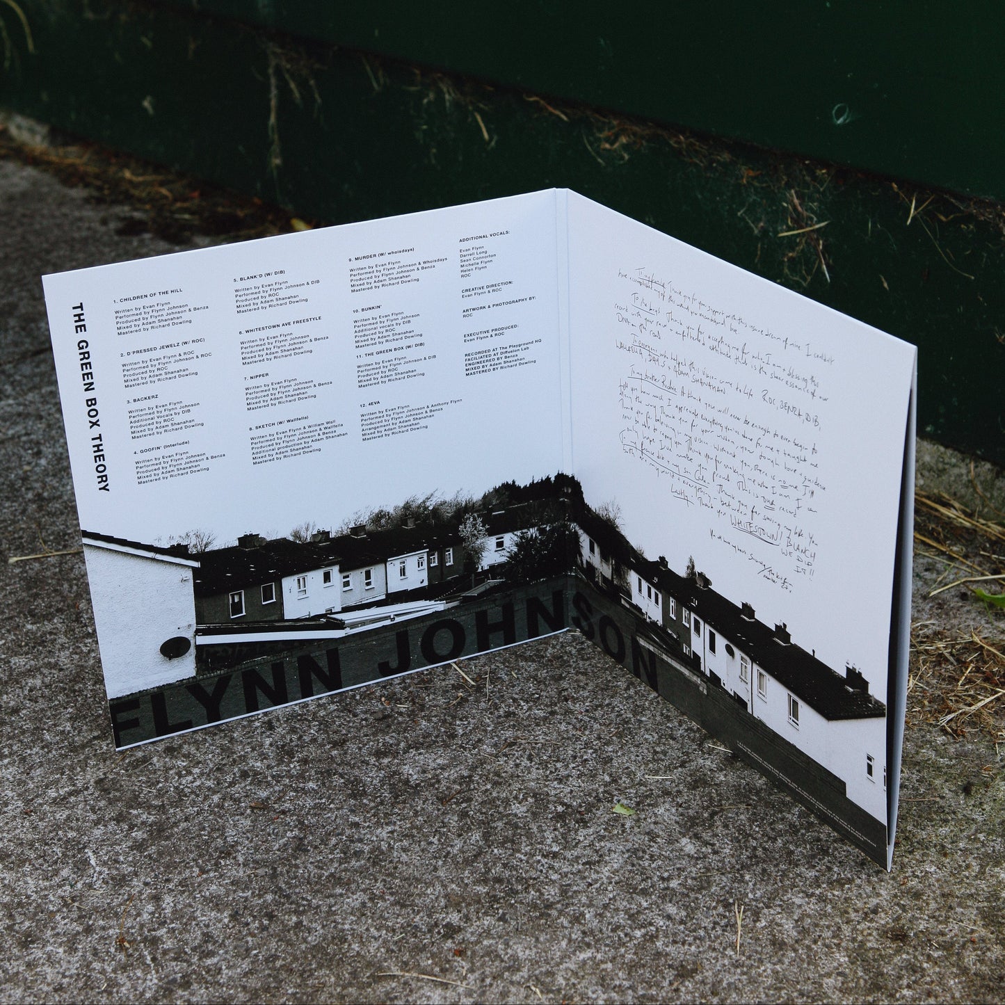 THE GREEN BOX THEORY Vinyl