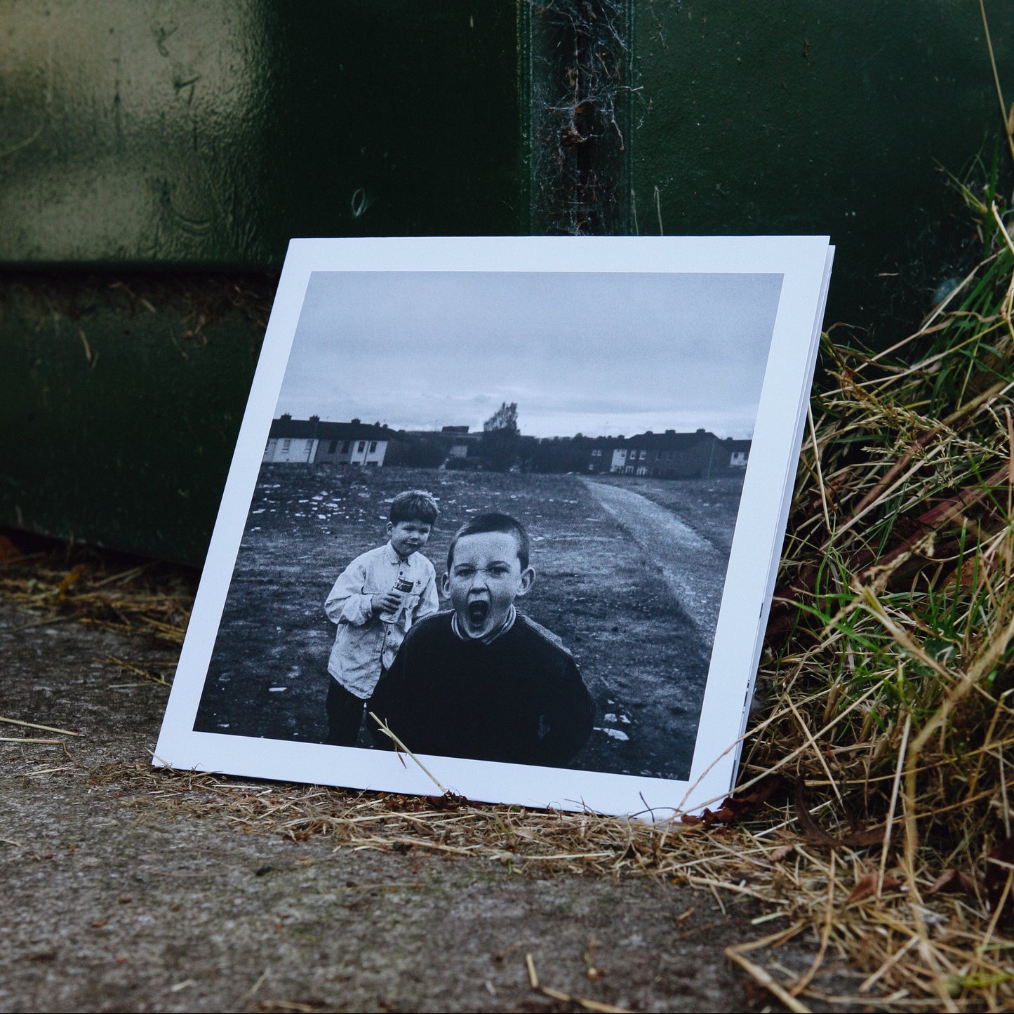 THE GREEN BOX THEORY Vinyl