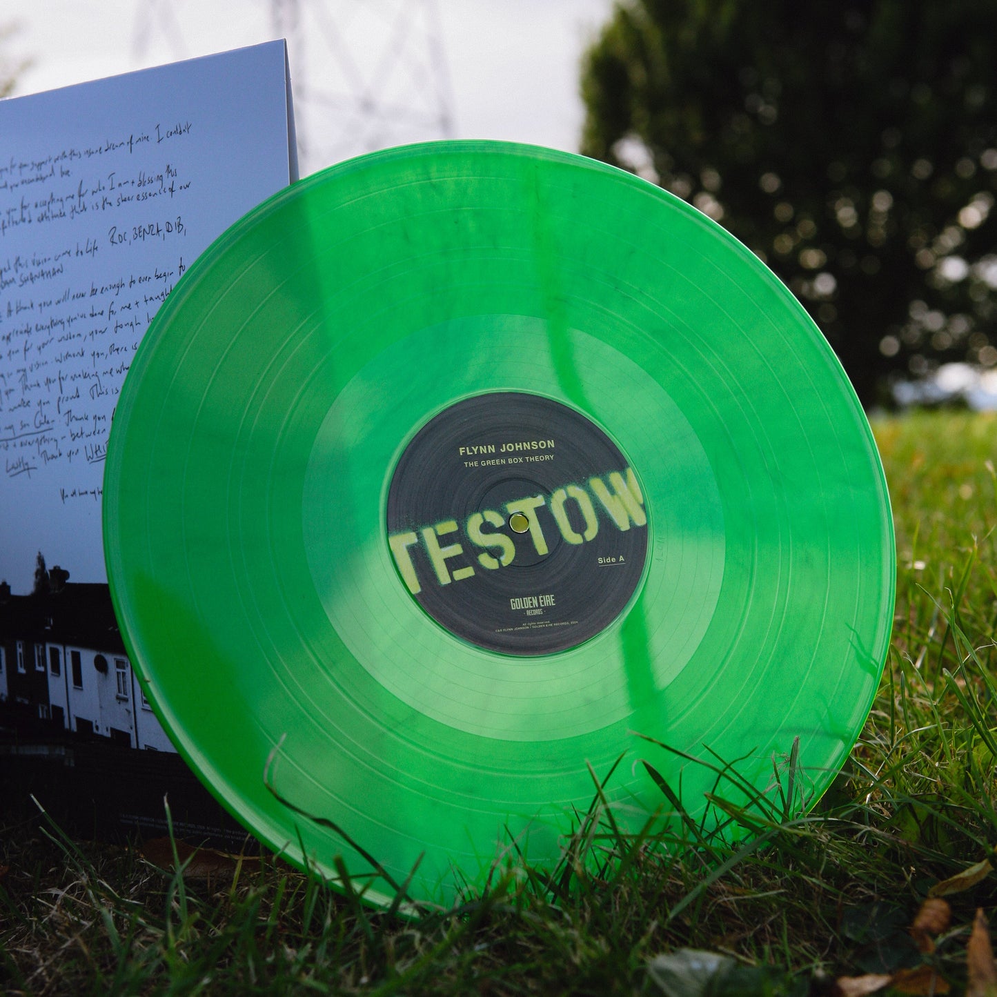 THE GREEN BOX THEORY Vinyl